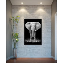 Quadro Decorativo Elefante Determinação